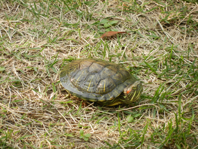 e0204795_2022125.jpg