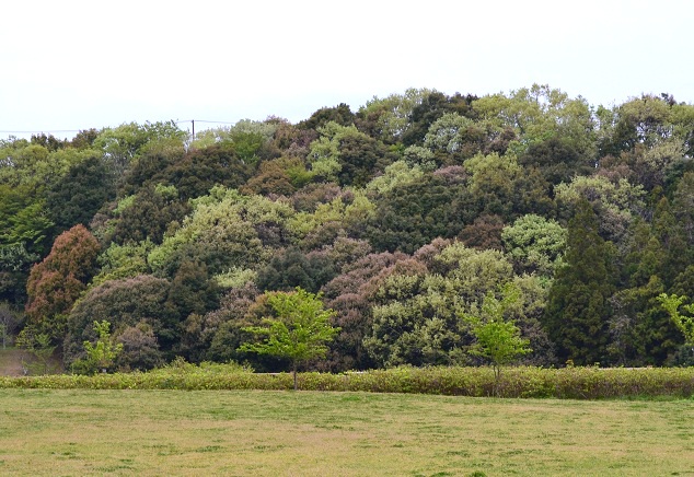c0119197_9552577.jpg