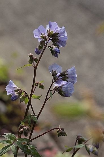 e0209997_1091542.jpg