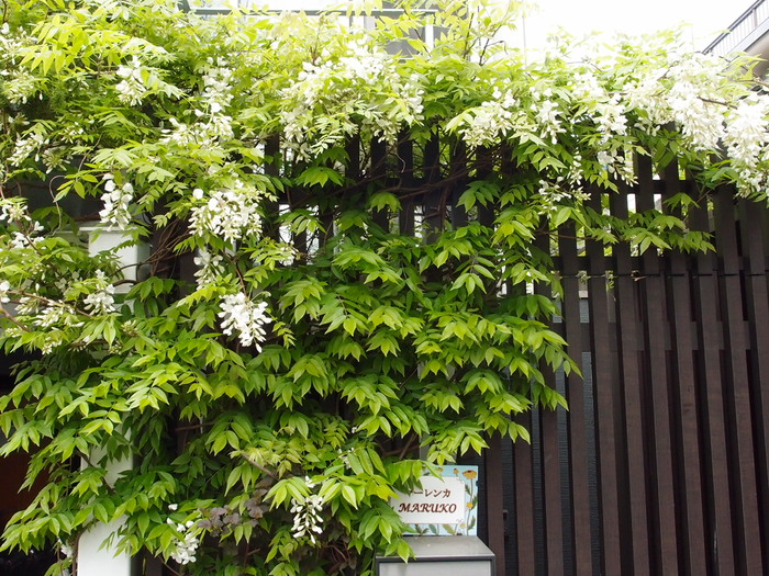 a0073000_10301763.jpg