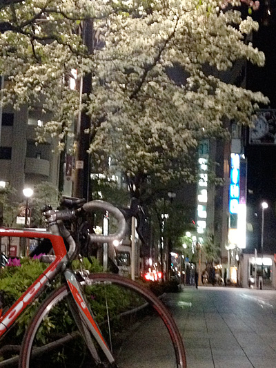 b0097200_23222482.jpg