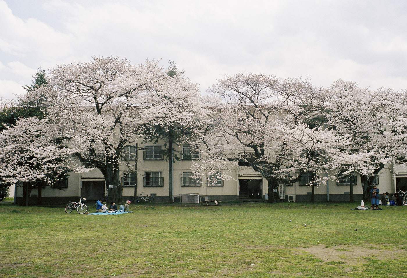 c0120903_2245013.jpg