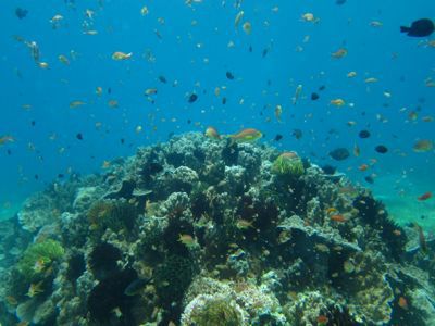 e0263905_23121726.jpg