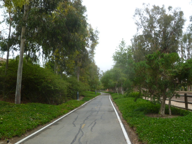 a0144811_0165449.jpg