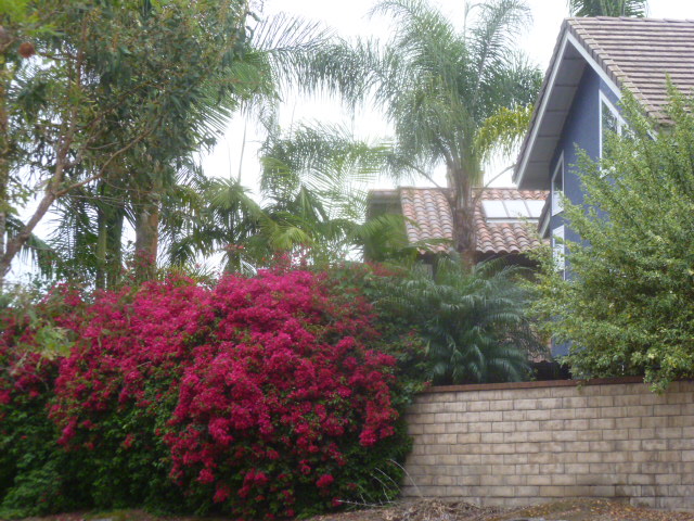 a0144811_0174194.jpg