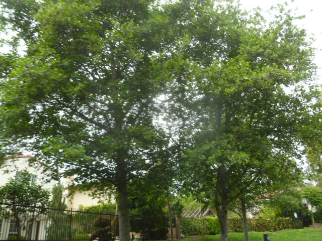 a0144811_017510.jpg