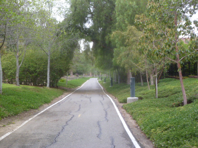 a0144811_0194264.jpg