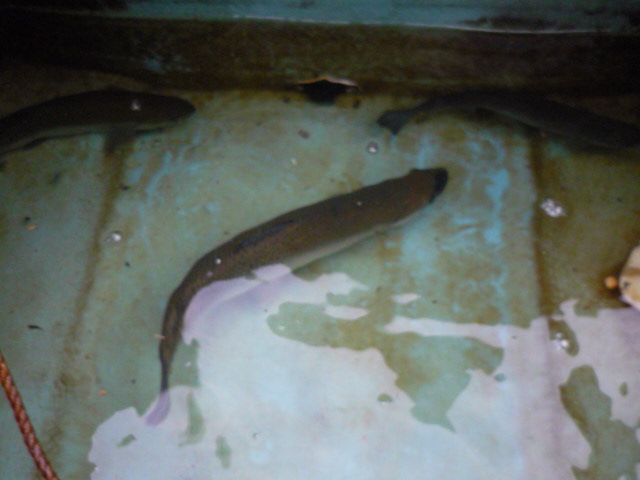 c0232813_14574544.jpg
