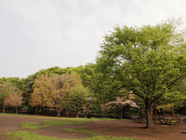 b0207615_15594194.jpg