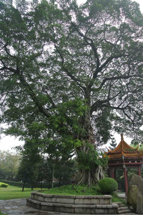 e0049318_1854370.jpg