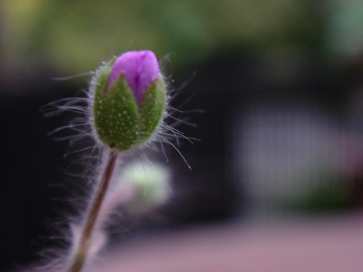 f0000521_16325541.jpg