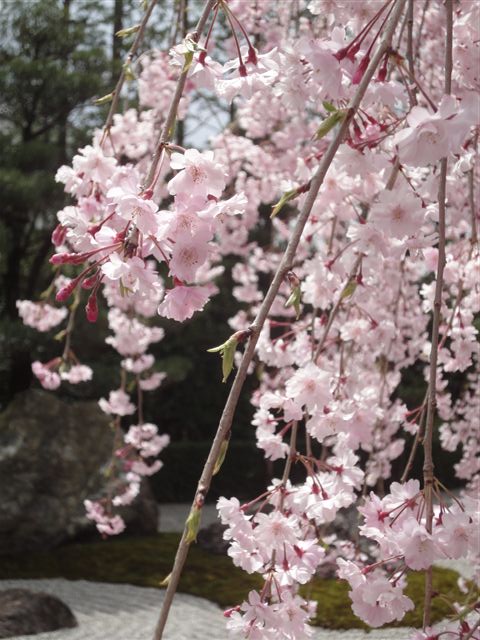 a0118723_2322066.jpg