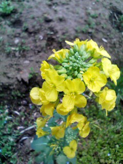 b0232023_23145643.jpg
