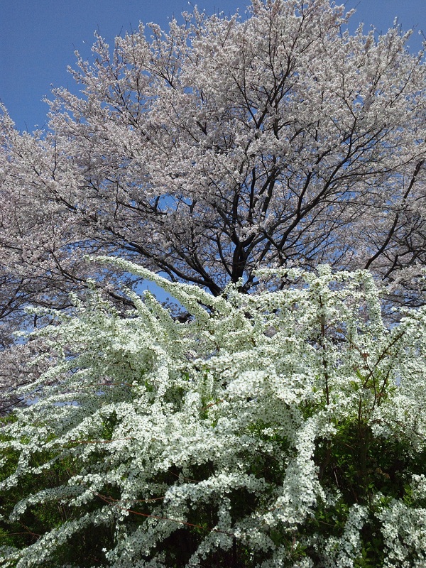 b0199924_18213853.jpg