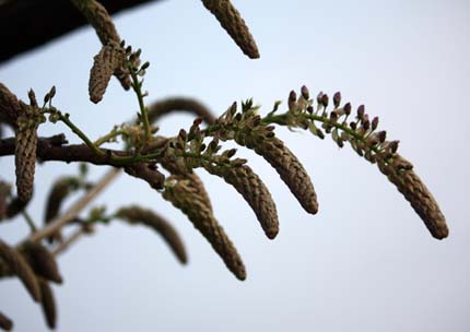 f0147025_17535550.jpg