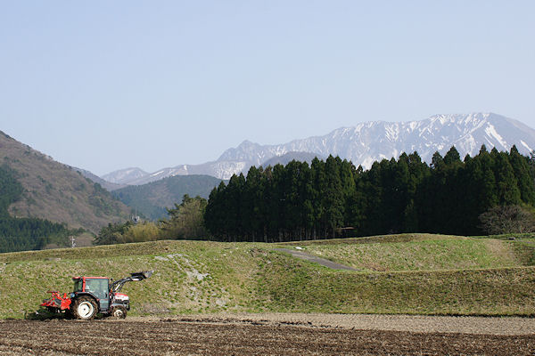 f0007926_12214255.jpg