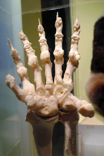 f0222527_2345550.jpg