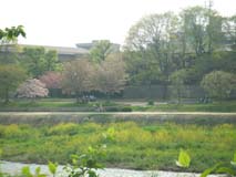 c0188928_15541131.jpg