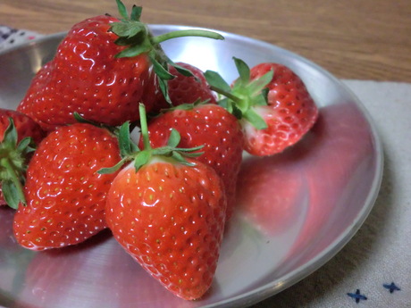 c0239235_20514966.jpg