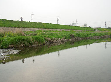 b0174137_2312786.jpg