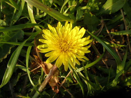 e0269537_759843.jpg