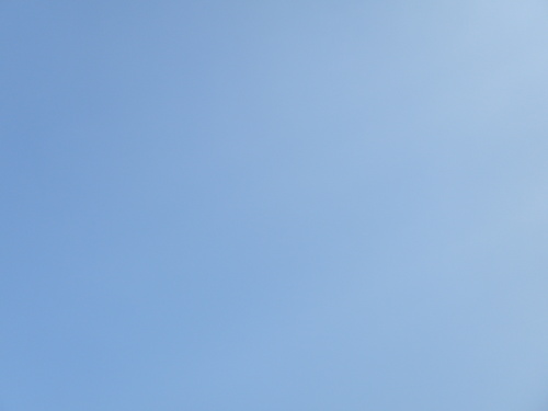 e0269537_801841.jpg