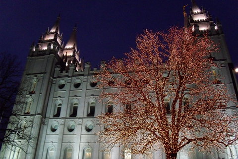 b0071539_820179.jpg