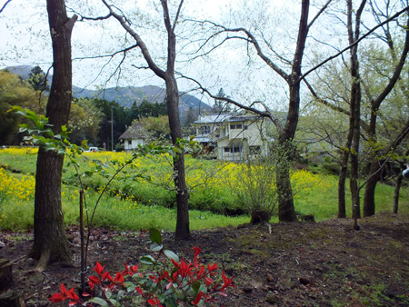 c0068639_16494152.jpg