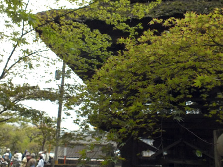 c0068639_16592013.jpg