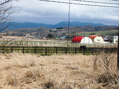 e0022839_23443497.jpg