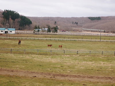 e0022839_23452025.jpg