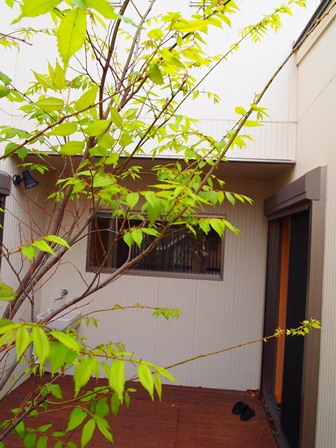 b0199742_2210102.jpg