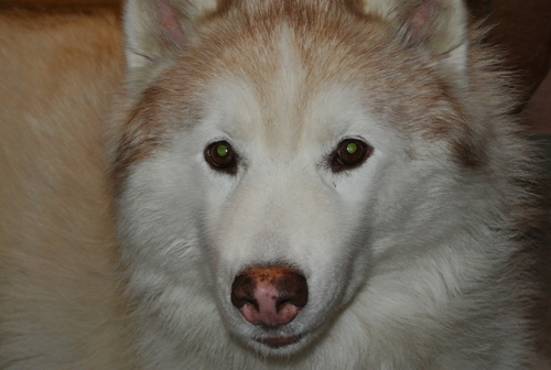 e0121548_1521036.jpg