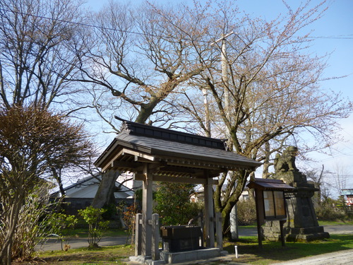 b0238249_1944888.jpg
