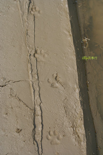 d0036450_11533.jpg