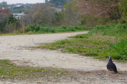 a0140863_22172499.jpg