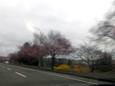 c0050264_14535066.jpg