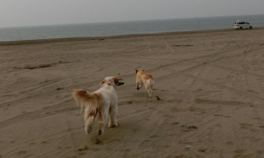 d0216270_20563643.jpg