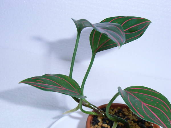 d0249970_2351210.jpg