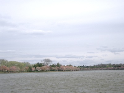 e0217871_198139.jpg