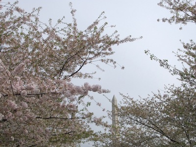e0217871_1981393.jpg