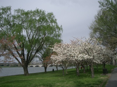 e0217871_1982191.jpg