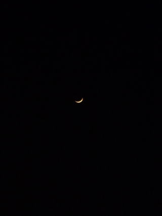 e0161972_17462454.jpg
