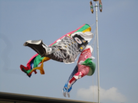 d0109373_1634225.jpg