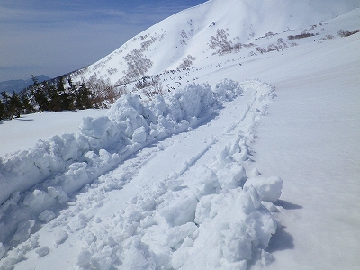 f0182173_1101934.jpg