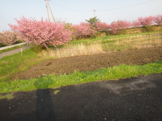 f0137275_4291349.jpg