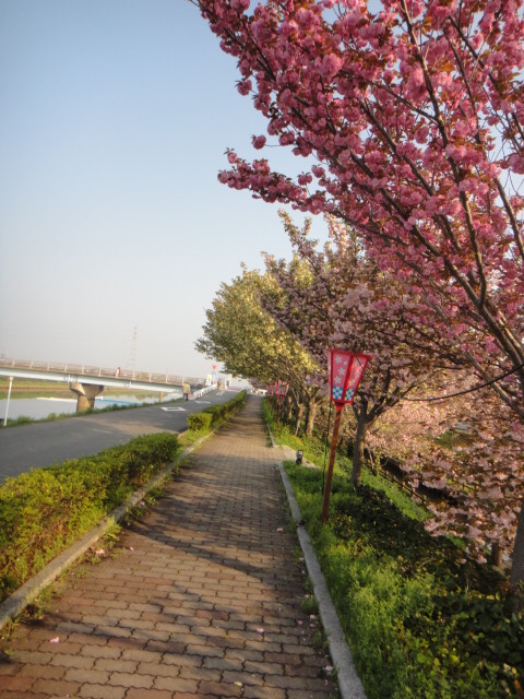 f0137275_4353739.jpg