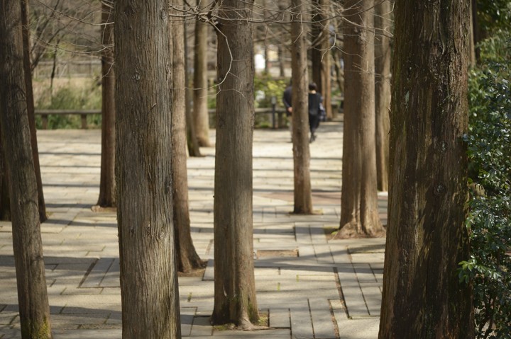 b0102780_22335655.jpg