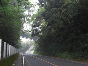 b0159585_1410748.jpg