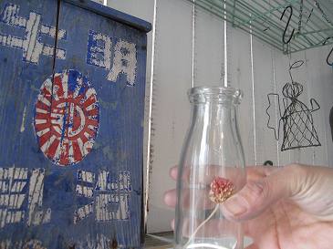 c0146487_1403214.jpg